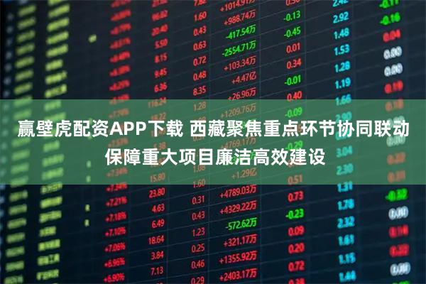 赢壁虎配资APP下载 西藏聚焦重点环节协同联动 保障重大项目廉洁高效建设