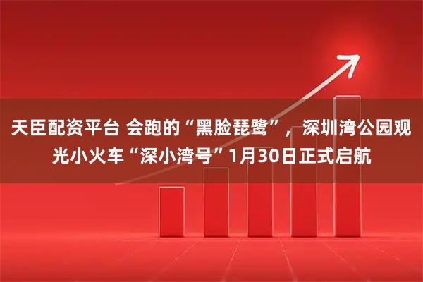 天臣配资平台 会跑的“黑脸琵鹭”，深圳湾公园观光小火车“深小湾号”1月30日正式启航