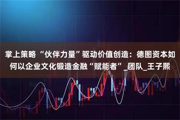 掌上策略 “伙伴力量”驱动价值创造：德图资本如何以企业文化锻造金融“赋能者”_团队_王子熙